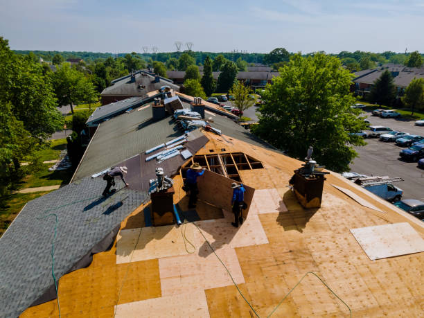 Best Roof Leak Repair  in Roanoke, IN