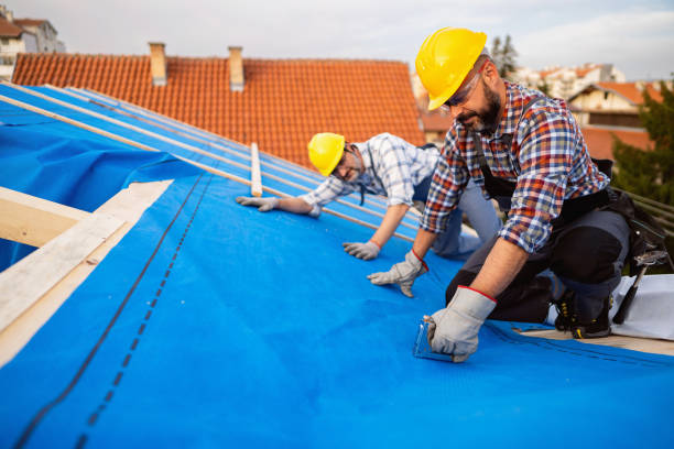 Best Residential Roof Replacement  in Roanoke, IN