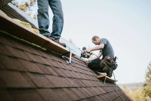 Best Storm Damage Roof Repair  in Roanoke, IN