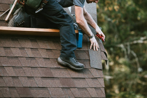 Best Roof Maintenance Services  in Roanoke, IN